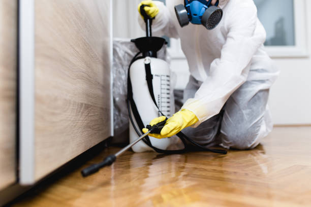 Best Emergency Pest Control  in Russellville, AR