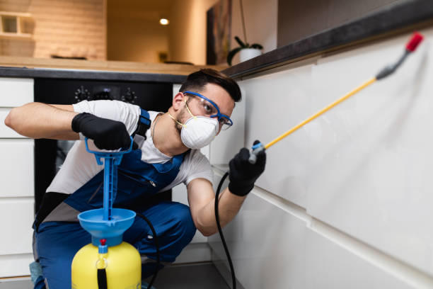 Best Pest Prevention Services  in Russellville, AR