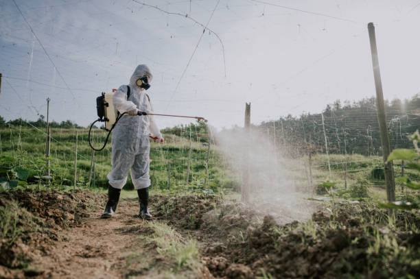 Best Mosquito Control Services  in Russellville, AR
