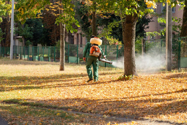 Best Insect Control  in Russellville, AR