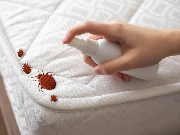 Best Affordable Pest Control Services  in Russellville, AR